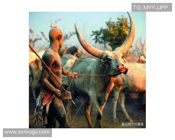 尼日利亚的崛起之路：探索非洲巨人的机遇与挑战